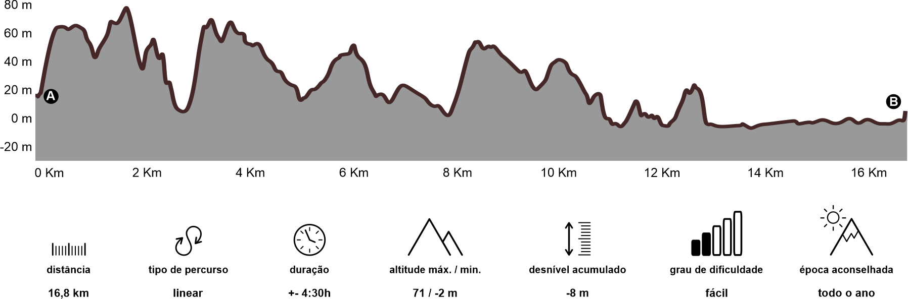 Altimetria